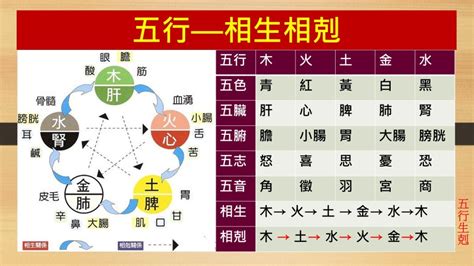 火剋|五行相剋是什麼？五行平衡與補救秘訣完整教學 